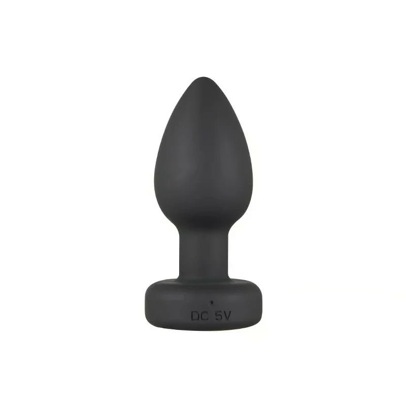 Rainbow - Flashing Light Base Vibrating Training Anal Plug with Remote Control